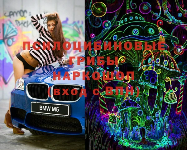 прущие грибы Козельск