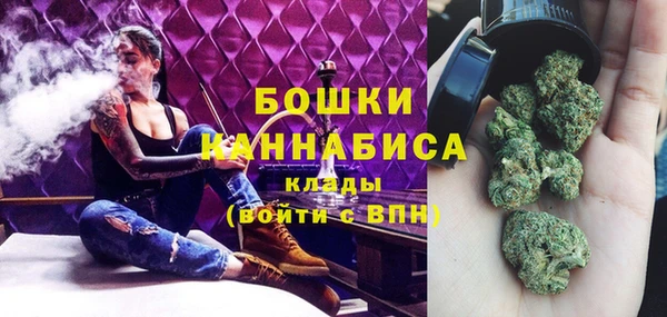 прущие грибы Козельск